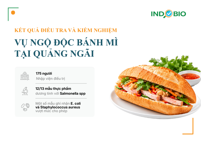 Kết quả điều tra và kiểm nghiệm vụ ngộ độc bánh mì tại Quảng Ngãi
